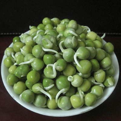Hạt giống đậu Hà Lan gói 50g