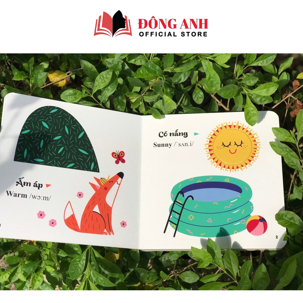 Sách - Đục Trổ Thông Minh Những Từ Vựng Đầu Đời Của Bé dành cho bé từ 0-6 tuổi