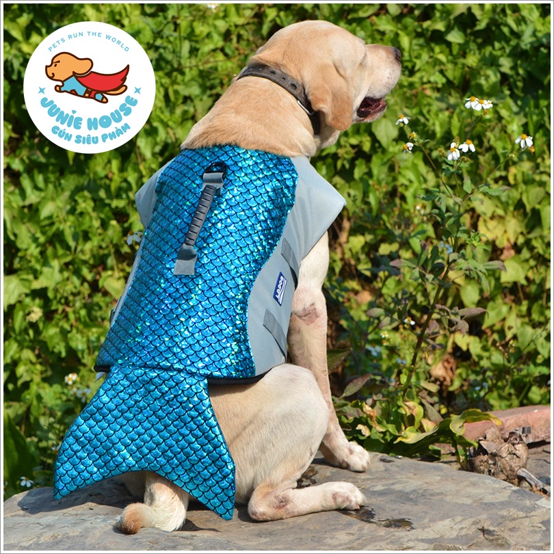 Áo phao đi bơi chuyên dụng cho chó mèo