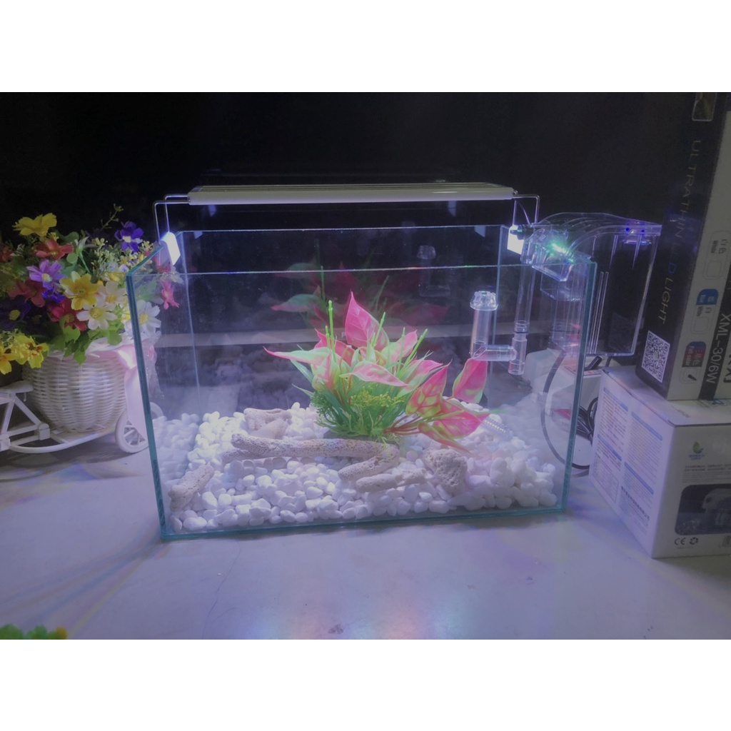 Hồ cá, bể cá cảnh thủy sinh FULL COMBO 6 món phụ kiện D32 R20 H20