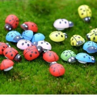 🔥 SALE + FREE SHIP 🔥 Combo 2 bọ cánh cứng mini -  phụ kiện trang trí tiểu cảnh