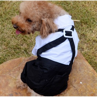 Bộ sơmi trắng quần đen có đai cho thú cưng