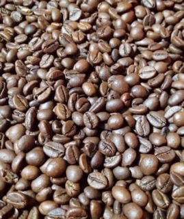 Cafe arabica-robusta nguyên chất