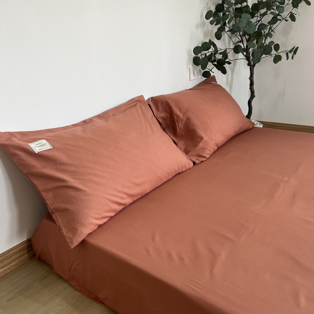 Bộ ga giường Cotton Tici 3 món bọc chun một màu trơn phong cách Hàn Quốc với đủ mọi size nệm