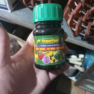 Thuốc kích thích cho hoa lan , hồng ra hoa mập mầm hàng nhập khẩu úc siêu tốt