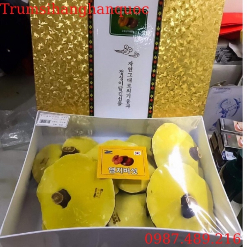 [HÀNG MỚI] Nấm Linh Chi Vàng Chanh Hộp Kim Tuyến Vàng Hàn Quốc, Hộp quà biếu sang trọng 1kg [ Hàng Mới Về ]