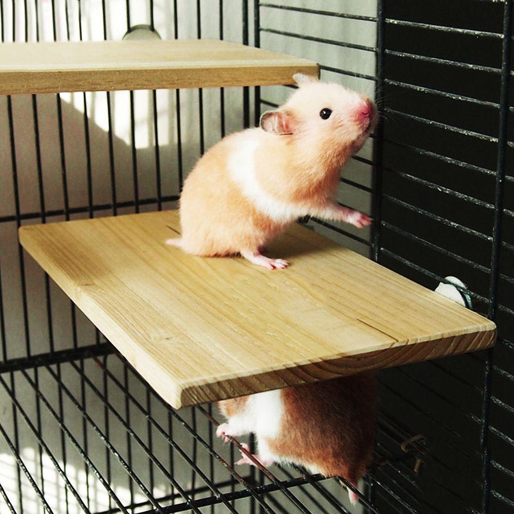 AUGUSTINA Thang Đứng Bằng Gỗ Cho Chuột Hamster