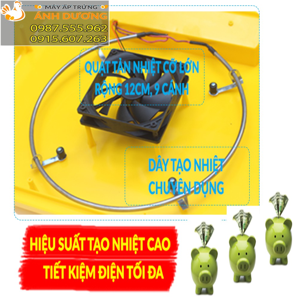 [ Hàng Chính Hãng ] Máy ấp trứng Ánh Dương A100 - Ấp tự động 54 trứng