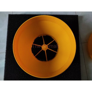 Máng tập ăn cho gà con, chim cút, vịt con