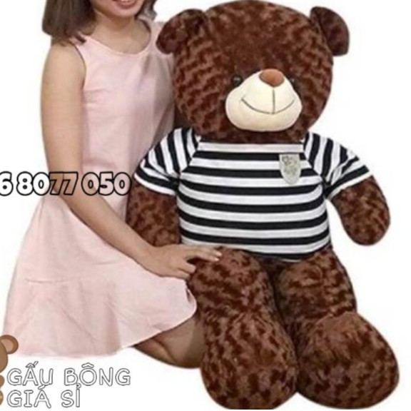 GẤU TEDDY (80cm) TEDDY BEAR GẤU BÔNG TEDDY [ẢNH THẬT] THÚ NHỒI BÔNG TEDDY GIÁ RẺ