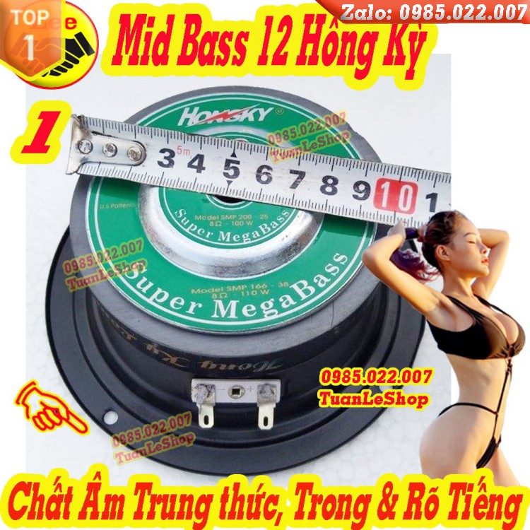 BASS 12 - LOA TRUNG 12 HỒNG KỲ VÀNG – GIÁ 01 LOA