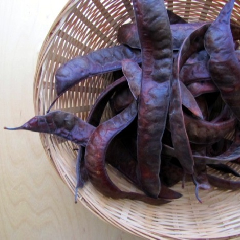 CHIẾT XUẤT BỒ KẾT