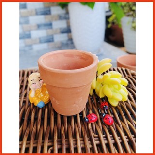 Chậu Đất Nung trồng Sen Đá