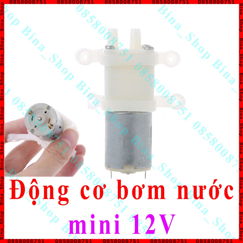 Động cơ bơm nước mini DC 12V