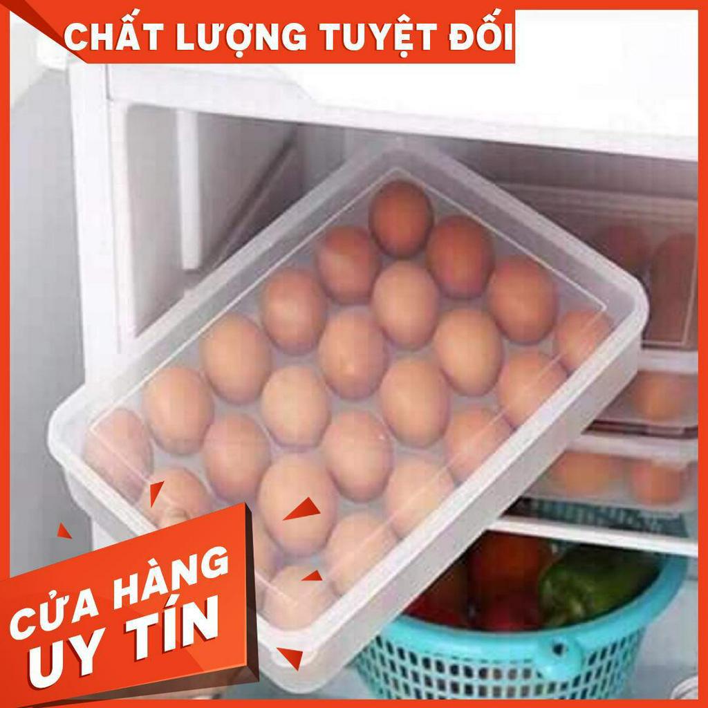 Khay đựng 24 quả Trứng ( Song Long )