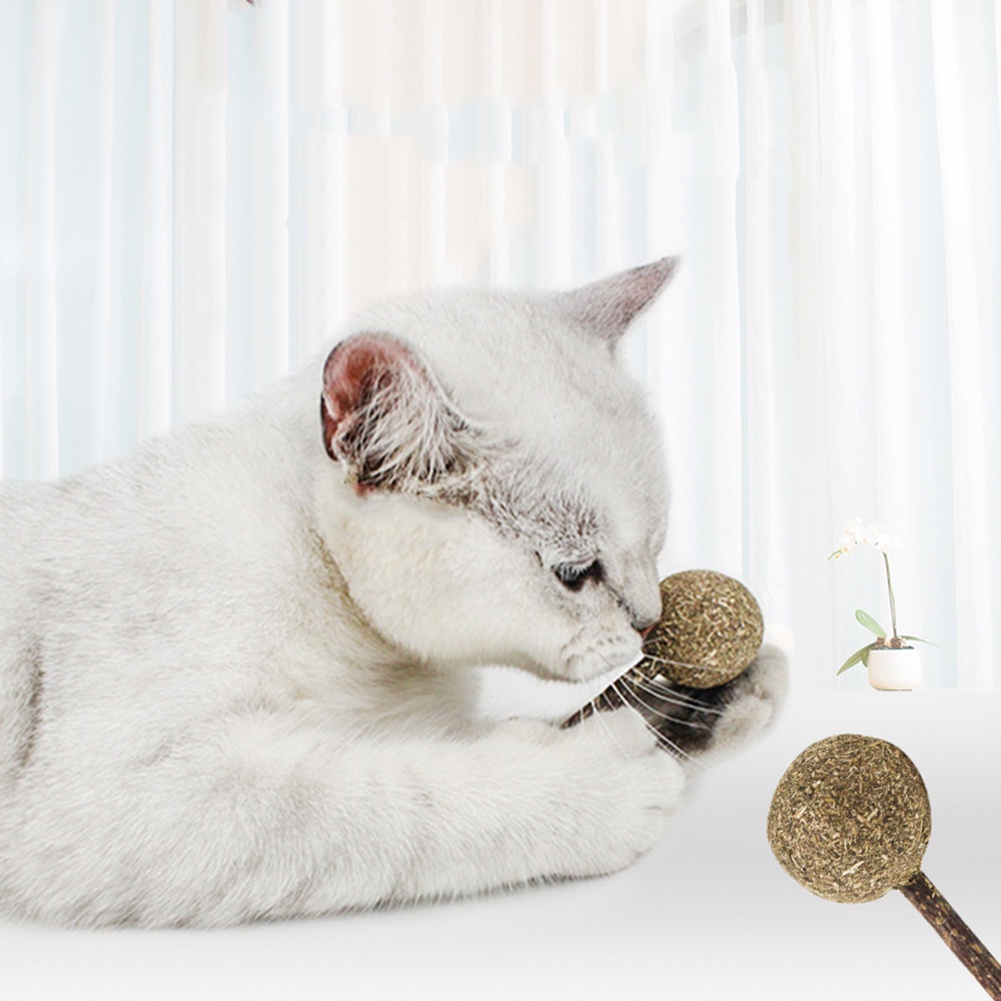 Quả Bóng Bạc Hà Mèo Hình Kẹo Mút Đồ Chơi Cho Mèo Cưng