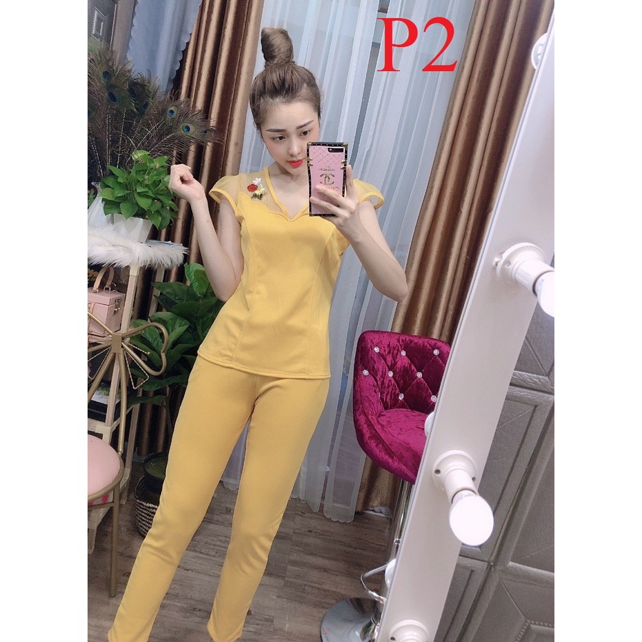 Đồ Bộ Thun Cát Hàn Mặc Nhà-Hàng Bigesize-CH6