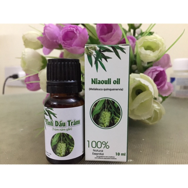 Tinh dầu tràm năm gân