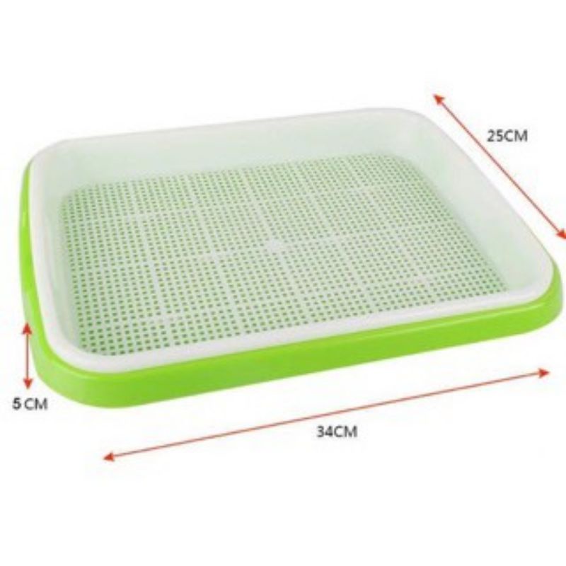 Khay Dụng Cụ Làm Giá Đỗ 34x25x5cm