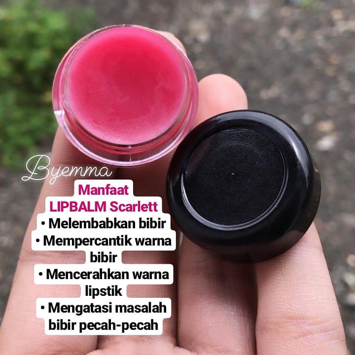 (hàng Mới Về) Son Dưỡng Môi Thành Phần Hữu Cơ | BigBuy360 - bigbuy360.vn