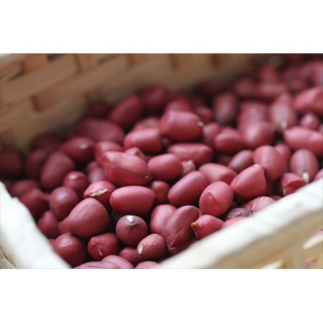 Lạc Đỏ Bóc Tay Phơi Nắng Tự Nhiên Không Chất Bảo Quản, Nhân Lạc Đỏ, Đậu Phộng Đỏ | BigBuy360 - bigbuy360.vn