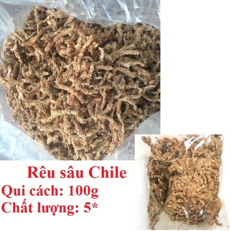 Rêu con sâu 5 SAO Giá thể giữ ẩm tuyệt vời cho phong lan 100g