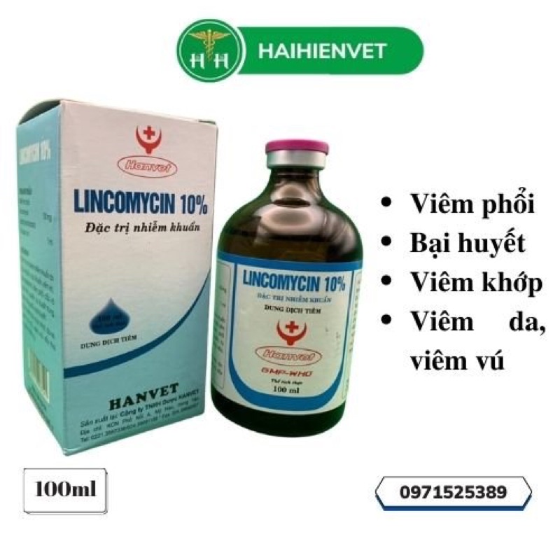 Lincomycin 10% 100ml - chuyên dùng cho gia cầm, chó, mèo, lợn, dê, cừu