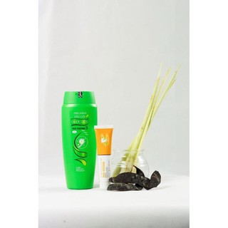 DẦU GỘI DƯỢC LIỆU THÁI DƯƠNG 3 MÙI LÁ 200ml