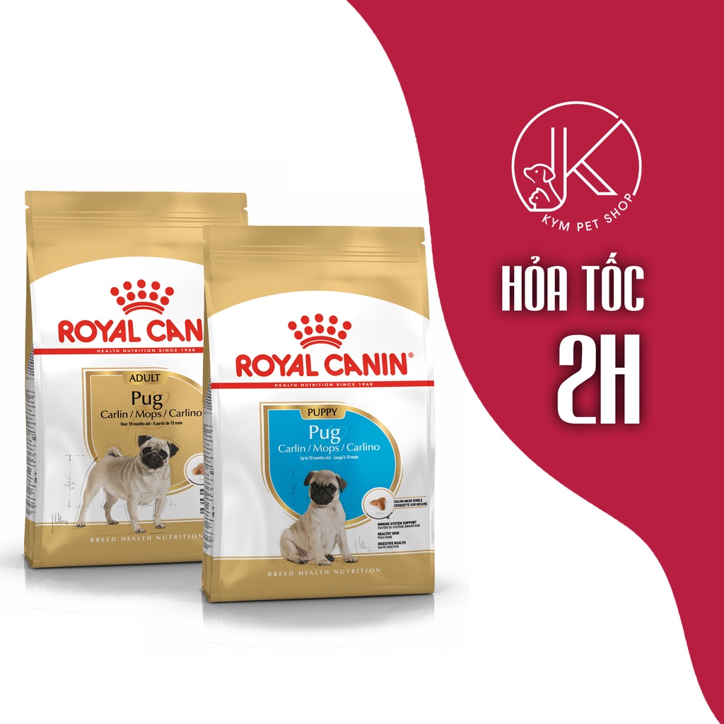 ROYAL CANIN PUG PUPPY - Thức ăn hạt khô dành riêng cho chó con giống Pug