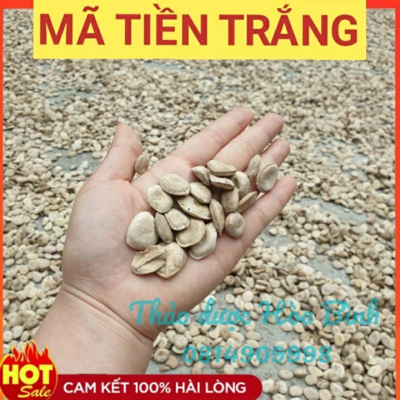 Hạt Mã Tiền nhung - 100g Hàng mới, khô, sạch