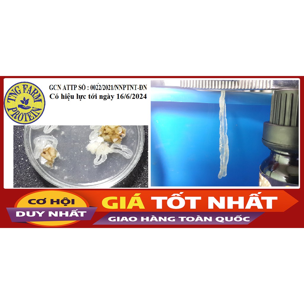 TINH DẦU [Mã TNGF01 NHẬN NGAY 10K] Cà cuống đực 100% nguyên chất - 2bọng. | BigBuy360 - bigbuy360.vn