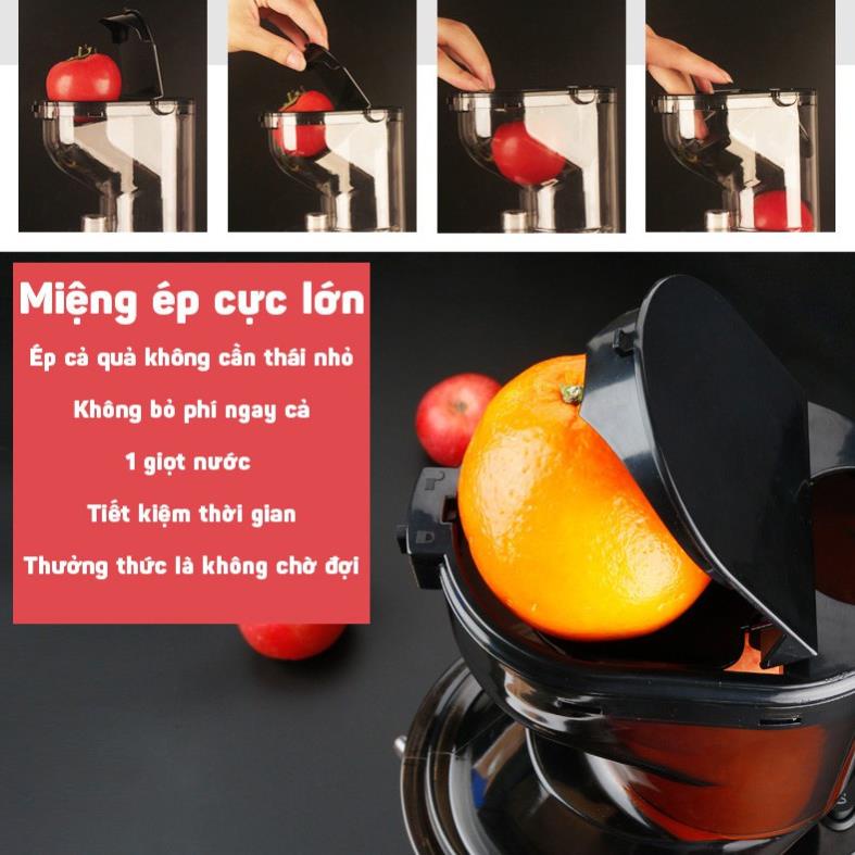 MÁY ÉP CHẬM NGUYÊN QUẢ HONGXIN RH-312 CAO CẤP
