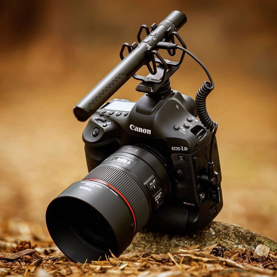 Micro shotgun Synco Mic-D30 cho máy ảnh, máy quay - Hàng chính hãng