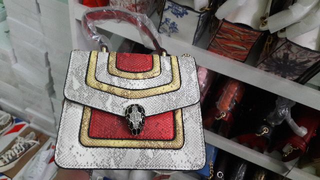 Túi BLV đầu rắn