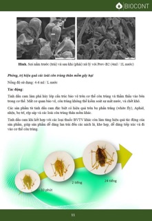 Phân Bón Lá Sinh Học PREV-B2