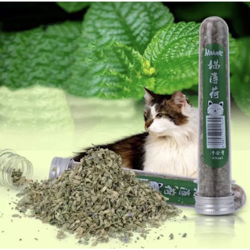 Cỏ bạc hà cho mèo Catnip tuýp 50ml tăng cường chất xơ ,vitamin tiêu hóa lông mèo