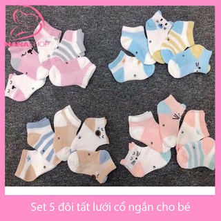 Set 5 đôi tất lưới cổ ngắn Kid socks