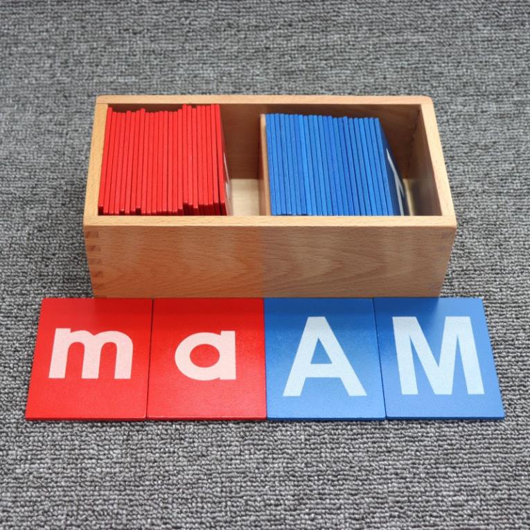 Bộ Chữ Nhám Montessori In Hoa, In Thường Giúp Trẻ Nhận Biết Chữ Cái Tiếng Anh