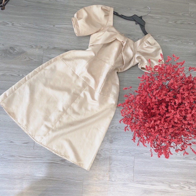 Váy thiết kế tay bồng