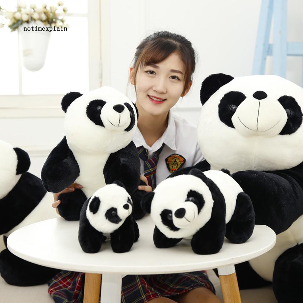 Gấu trúc nhồi bông đáng yêu