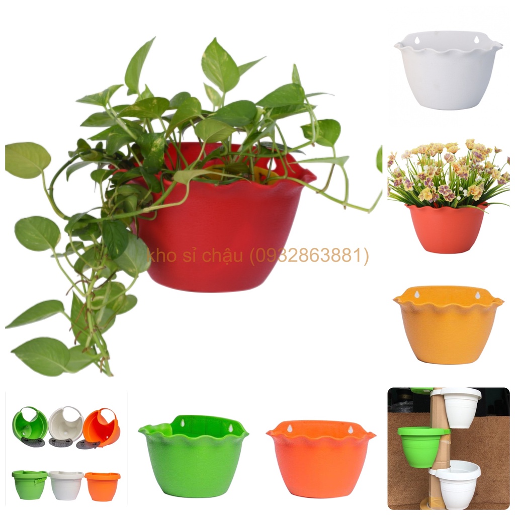 chậu tai bèo treo tường ✅ ✅ ✅ trang tri hoa giả và không gian ngôi nhà (KT: 24.5x16.5)