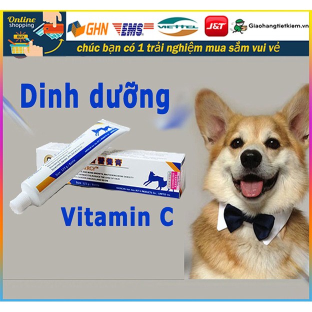 vitamin cho thú cưng
