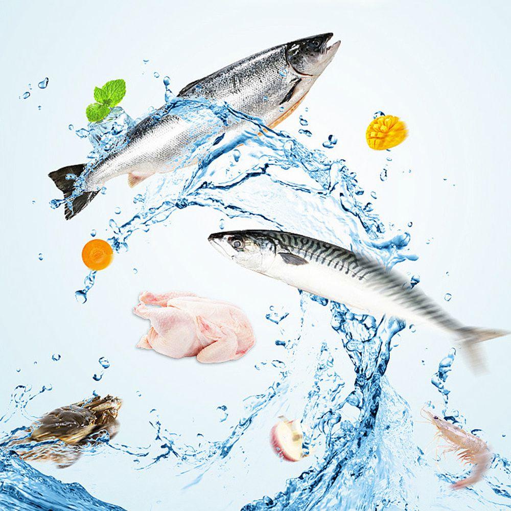 LAYOR1 Set 10 Dụng Cụ Huấn Luyện Mèo Ăn Dặm