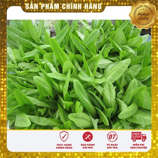 Hạt Giống Rau Diếp Thơm(5gr)
