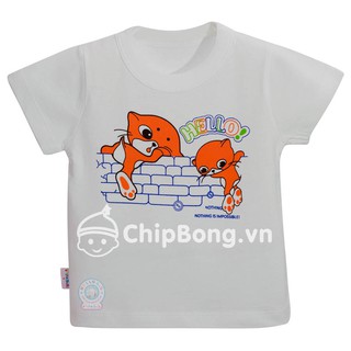 Áo Tay Ngắn Cổ Bo Bé Trai - Hello bb