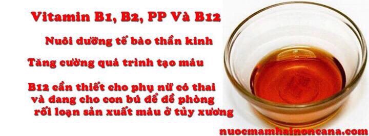 Nước mắm Hai Non Cà Ná 30 độ đạm, thùng 3 lít có 6chai 500ml nước mắm. Bảo hành 2 năm kể từ nhà sản xuất