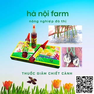 THUỐC KÍCH RỄ GIÂM CHIẾT CÀNH MINH ĐỨC - ( SIÊU RA RỄ) MD-901