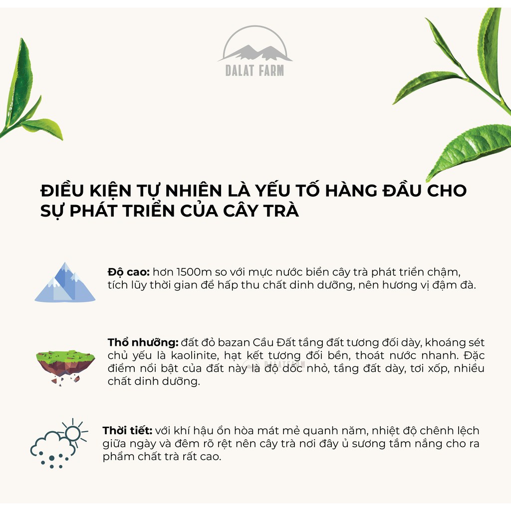 Trà Lài Cầu Đất - Túi 150Gr DalatFarm (Trà nhài - Jasmine Tea) | BigBuy360 - bigbuy360.vn