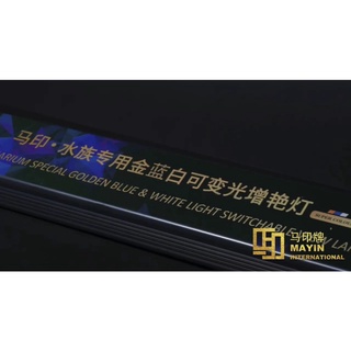ĐÈN LED MAYIN BỐI - ĐÈN CÁ RỒNG CHO BỐI VÀNG VÀ BỐI TÍM.