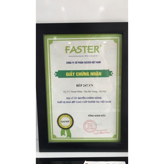 Bếp từ Faster FS 288I